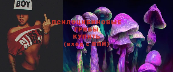 прущая мука Осташков