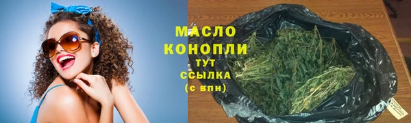 индика Гусиноозёрск