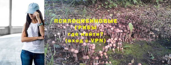 прущий лед Няндома