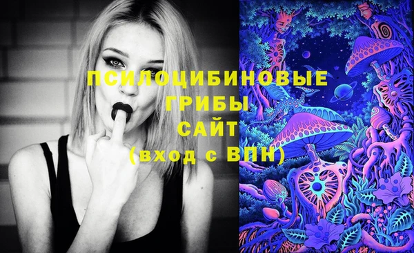 прущая мука Осташков
