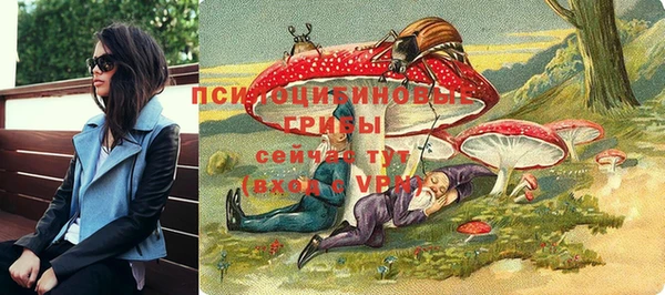 прущая мука Осташков