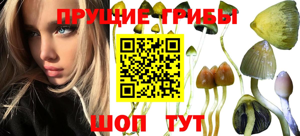 Галлюциногенные грибы Magic Shrooms Ахтубинск