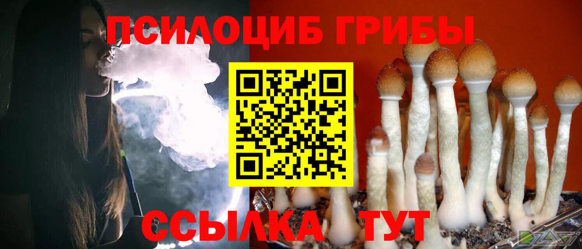 Псилоцибиновые грибы Magic Shrooms Ахтубинск
