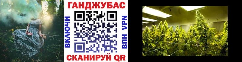Конопля семена  Ахтубинск 